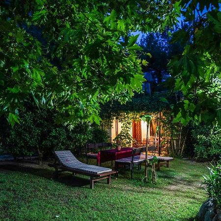 Arya Holiday Houses Çıralı Exterior foto