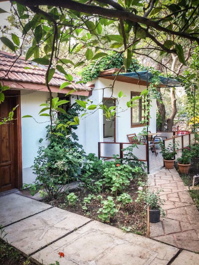 Arya Holiday Houses Çıralı Exterior foto