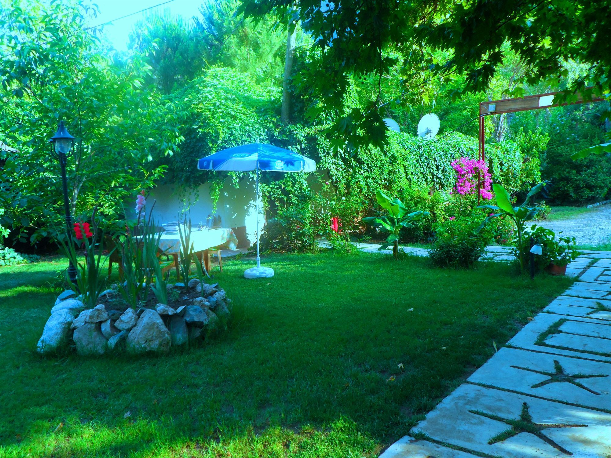 Arya Holiday Houses Çıralı Exterior foto