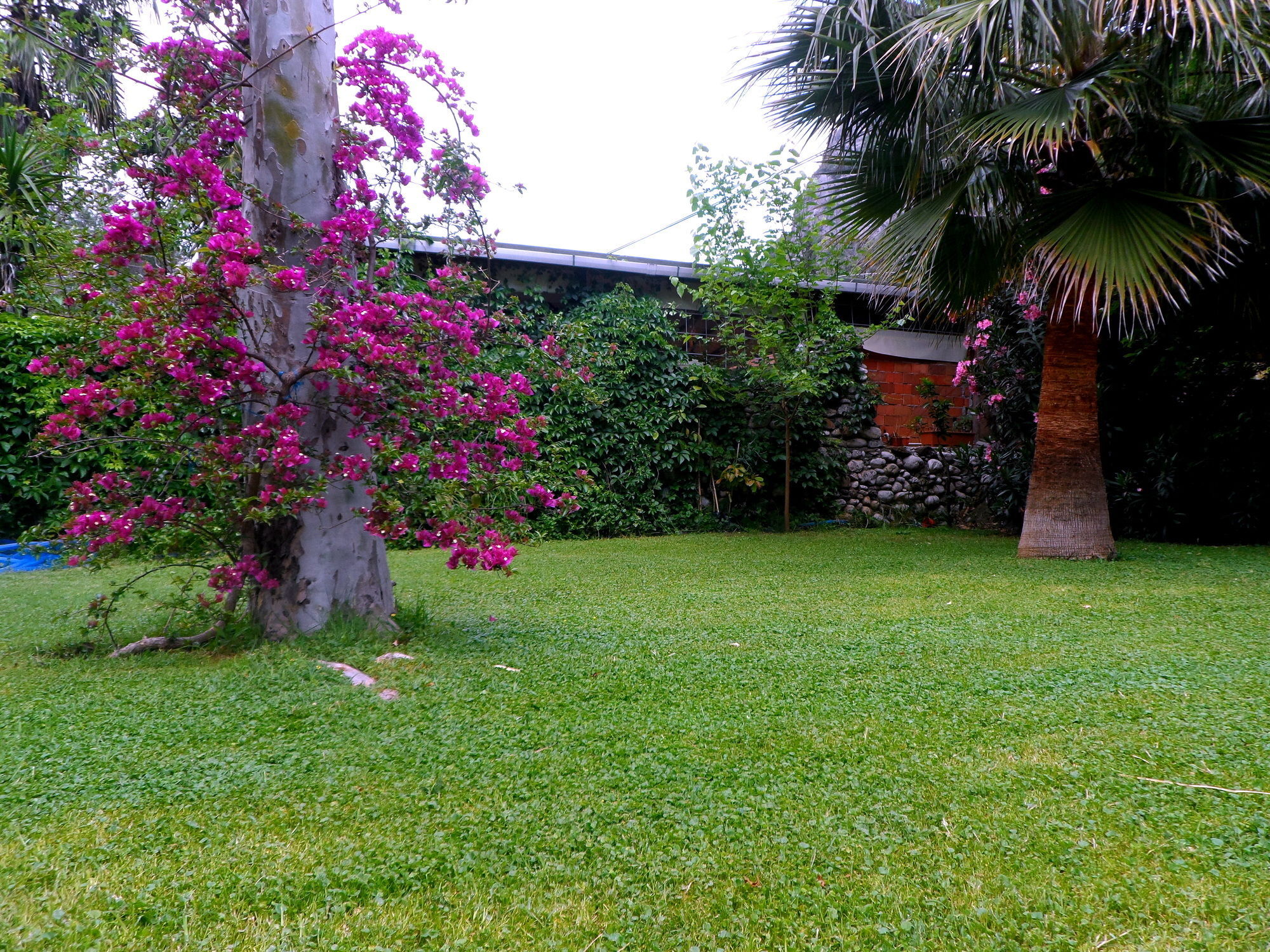 Arya Holiday Houses Çıralı Exterior foto