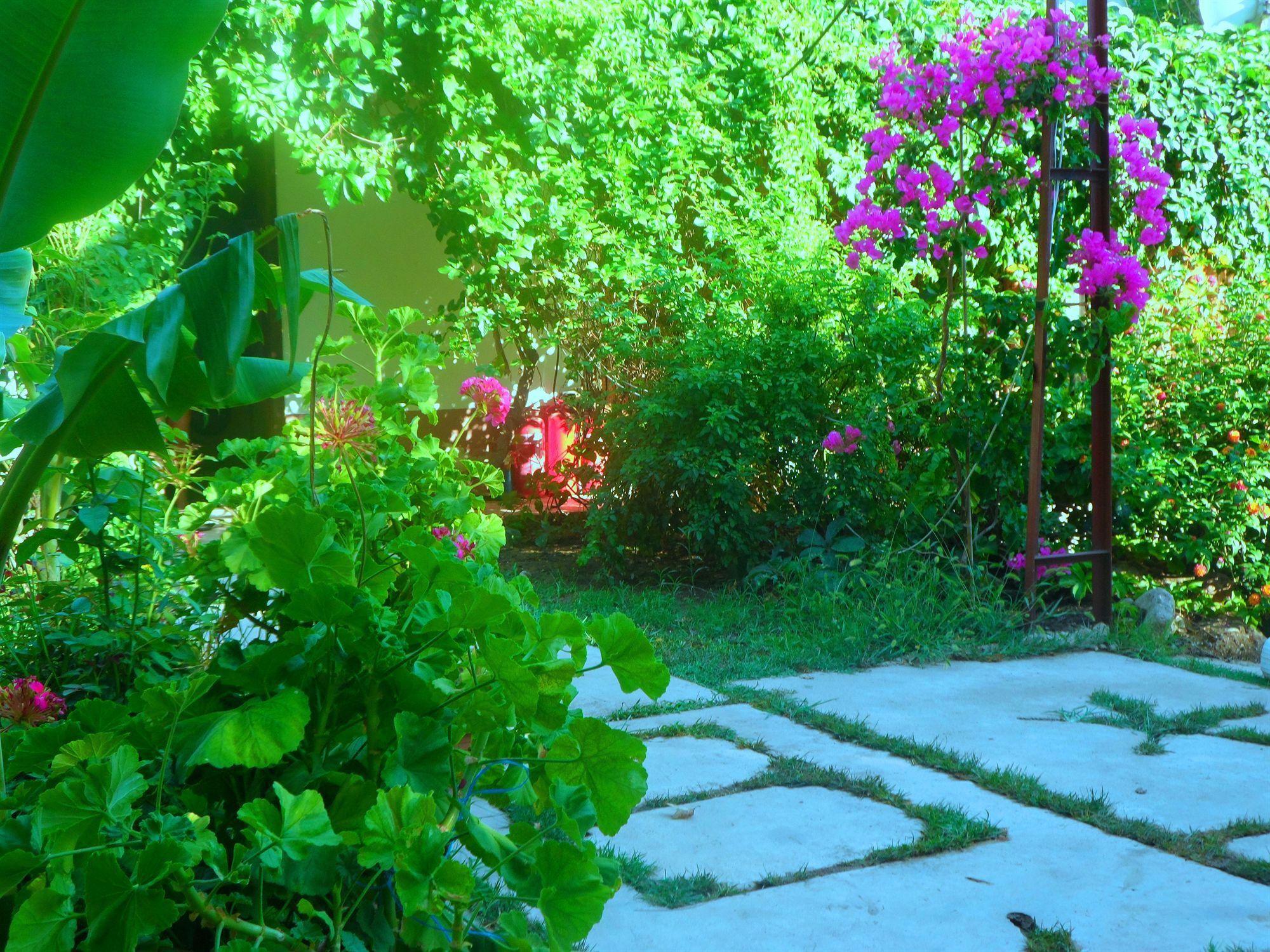 Arya Holiday Houses Çıralı Exterior foto